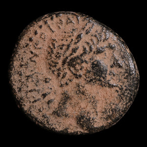 Syria, Antioch, Emperor Trajan, AE Unit - 116 to 117 CE - Roman Provinces