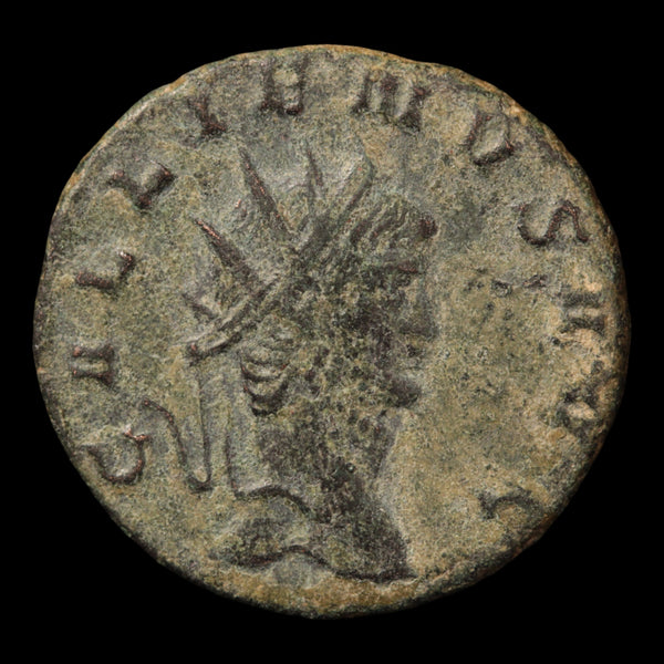 Rome, Emperor Gallienus, Antoninianus, Panther Reverse - 260 to 268 CE ...