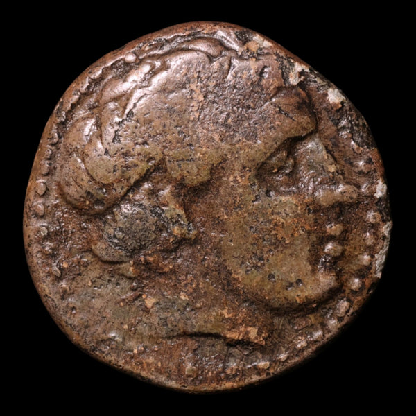 Kingdom of Macedon, Alexander the Great, AE Unit, Apollo & Youth on Ho ...