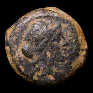 Seleucid Empire, King Antiochus IX, AE Unit, Artemis (Goddess of the Hunt) - 113 to 96 BCE - Greek World