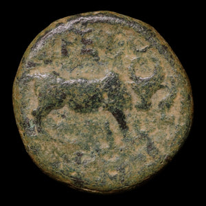 Seleucid Empire, King Seleucus I, AE Unit, Athena & Bull - 300 to 295 BCE - Greek World