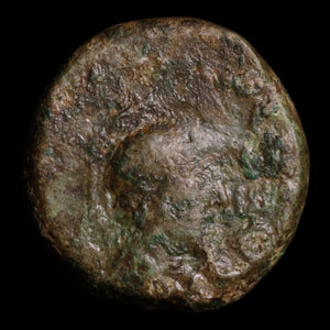 Lucania, City of Paestum, AE Semis, Helmeted God & Clasped Hands - c. 89 to 1 BCE - Greek World