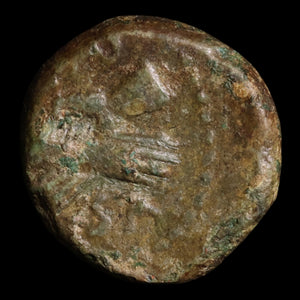 Lucania, City of Paestum, AE Semis, Helmeted God & Clasped Hands - c. 89 to 1 BCE - Greek World
