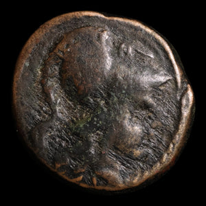 Kingdom of Macedon, Antigonus II Gonatas, AE Unit, Pan (God of the Wild) - 277 to 239 BCE - Greek World