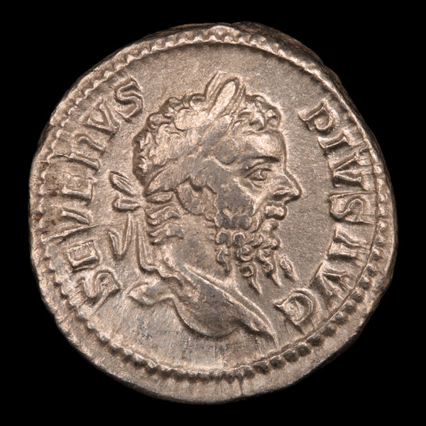 Rome, Septimius Severus, Denarius, Salus Reverse - 210 CE - Roman Empi ...