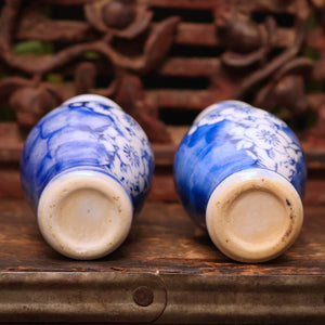 China, Qing Dynasty, Pair of Blue & White Ceramic Floral Vases - c. early 1900s CE - Imperial China