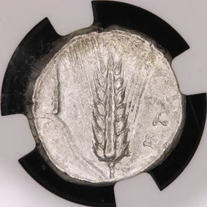 Magna Graecia, Lucania, Metapontum, Silver Stater (Choice Fine) - c. 340 to 330 BCE - NGC Certified