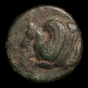 Troas, City of Skepsis, AE Unit, Pegasus & Fir Tree - c. 400 to 300 BCE - Greek World
