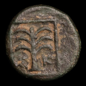 Troas, City of Skepsis, AE Unit, Pegasus & Fir Tree - c. 400 to 300 BCE - Greek World