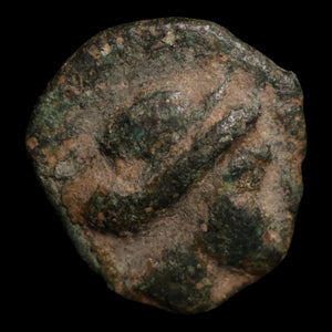 Rhodes, City of Caria, AE Unit, Rhodos & Rose - c. 350 to 300 BCE - Ancient Greece