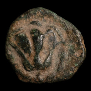 Rhodes, City of Caria, AE Unit, Rhodos & Rose - c. 350 to 300 BCE - Ancient Greece