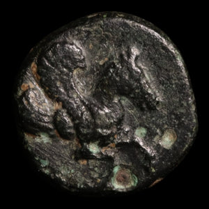 Troas, City of Skepsis, AE Unit, Pegasus & Fir Tree - c. 400 to 300 BCE - Greek World