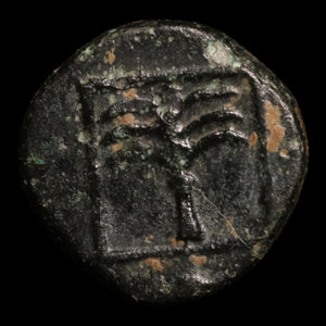 Troas, City of Skepsis, AE Unit, Pegasus & Fir Tree - c. 400 to 300 BCE - Greek World