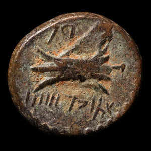 Phoenicia, City of Arados, Bronze Unit (Zeus) - c. 200 to 100 BCE - Greek World