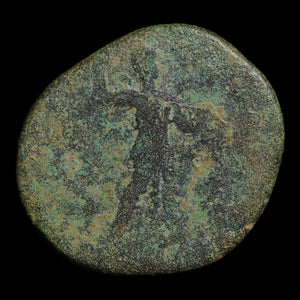 Rome, Emperor Claudius (Fourth Roman Emperor), AE As, Minerva (Goddess of Wisdom) - 50 to 54 CE - Roman Empire
