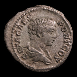 Rome, Emperor Geta, AR Denarius, Felicitas (Divine Productivity) - 203 to 208 CE - Roman Empire