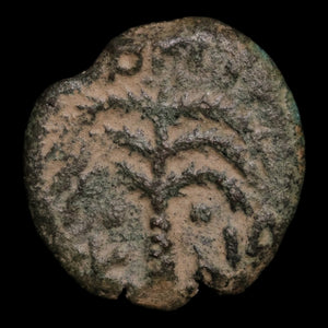 Judea, Antonius Felix Under Claudius, AE Prutah, Jerusalem Mint - 54 CE - Ancient Judea