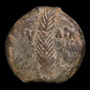Judaea, Valerius Gratus Under Tiberius, AE Prutah, Jerusalem Mint - 24 CE - Ancient Judea