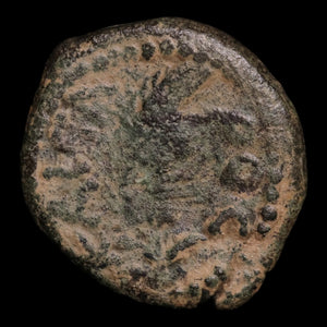 Judaea, Marcus Ambibulus Under Augustus, AE Prutah, Jerusalem Mint - 24 CE - Ancient Judea
