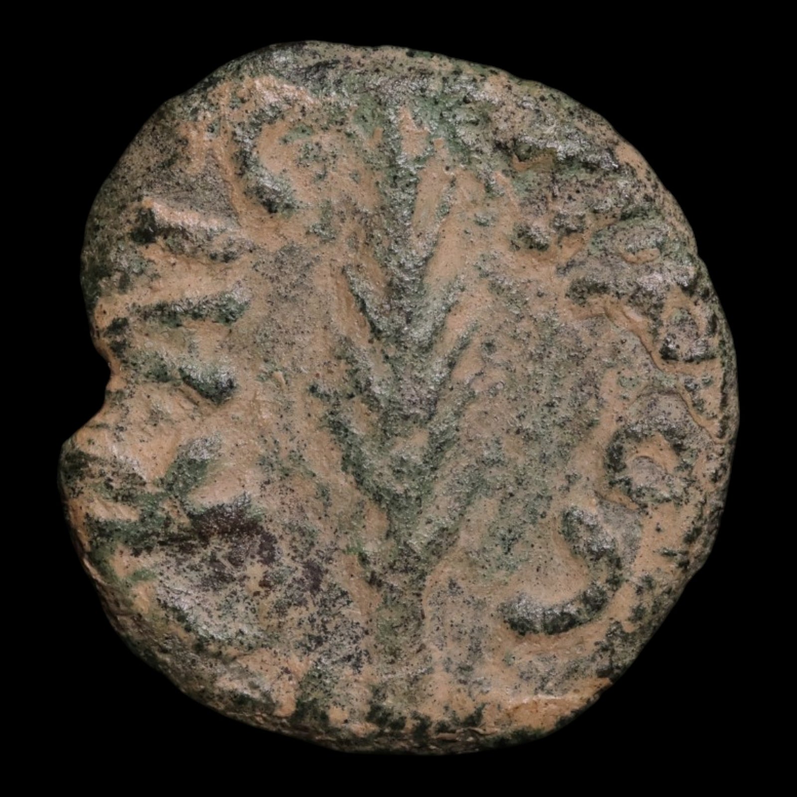 Judaea, Porcius Festus Under Nero, AE Prutah, Jerusalem Mint - 59 CE - Ancient Judea