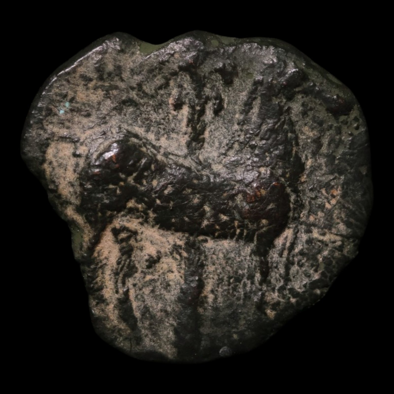 Zeugitana, City of Carthage, AE Unit - c. 400 to 200 BCE - Northern Africa