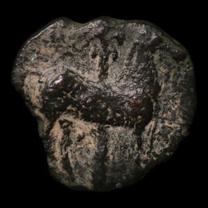 Zeugitana, City of Carthage, AE Unit - c. 400 to 200 BCE - Northern Africa