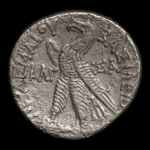 Ptolemaic Kingdom of Egypt, Ptolemy VIII Euergetes, AR Tetradrachm - 138 to 137 BCE - Ancient Egypt
