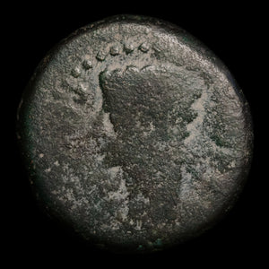 Hispania, Julia Traducta, Augustus (First Emperor of Rome), AE Unit - 31 BCE to 14 CE - Roman Provinces