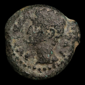 Hispania, Colonia Patricia, Augustus (First Emperor of Rome), AE Unit - 31 BCE to 14 CE - Roman Provinces