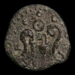 Hispania, Colonia Patricia, Augustus (First Emperor of Rome), AE Unit - 31 BCE to 14 CE - Roman Provinces