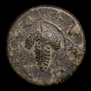 Aeolis, City of Temnos, AE Unit, Dionysus (God of Wine) - c. 300 to 1 BCE - Greek World