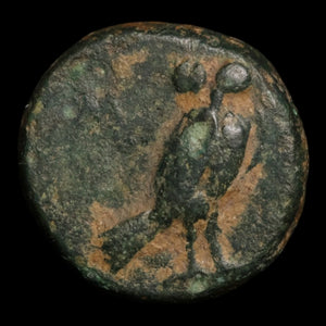 Aeolis, City of Neonteichos, AE Unit, Athena (Goddess of Wisdom) - c. 200 to 100 BCE - Greek World
