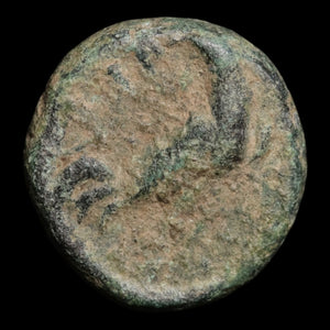 Troas, City of Dardanos, AE Unit - c. 350 BCE - Greek World