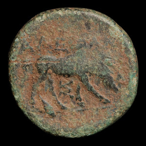 Troas, City of Alexandria, AE Unit, Apollo (Major Greek God) - 261 to 246 BCE - Greek World