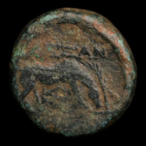 Troas, City of Alexandria, AE Unit, Apollo (Major Greek God) - 261 to 246 BCE - Greek World