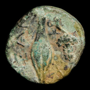 Troas, City of Neandria, AE Unit, Apollo (Major Greek God) - c. 400 to 300 BCE - Greek World