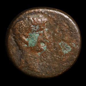Mysia, Cyzicus, Augustus (First Emperor of Rome), AE Unit - 31 BCE to 14 CE - Roman Provinces