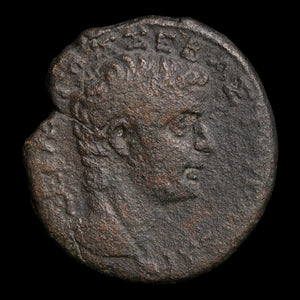 Syria, Antioch, Tiberius (Second Emperor of Rome), AE Unit - 14 to 15 CE - Roman Provinces