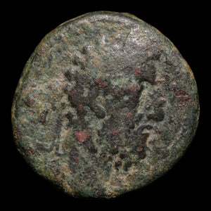 Syria, Hierapolis-Bambyce, Emperor Commodus, AE Unit - 191 to 192 CE - Roman Provinces