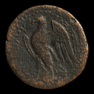 Ptolemaic Egypt, King Ptolemy II, Half Obol, Zeus & Eagle - 282 to 246 BCE - Ancient Egypt