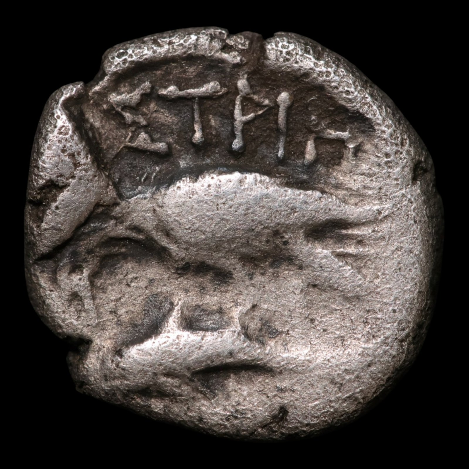 Thrace, City of Istros, AR 1/4 Stater - c. 400 to 350 BCE - Greek World