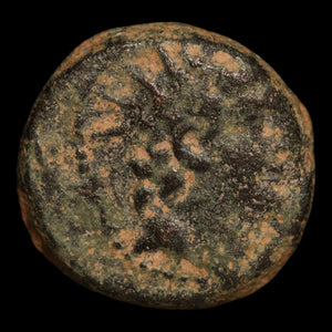 Seleucid Empire, King Antiochus VIII Grypus, AE Unit - 109 to 96 BCE - Greek World