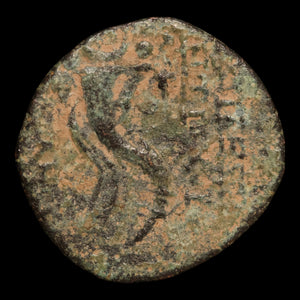 Seleucid Empire, King Antiochus VIII Grypus, AE Unit - 109 to 96 BCE - Greek World