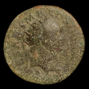 Rome, Emperor Titus, AE Dupondius, Felicitas (Divine Productivity) - 75 CE - Roman Empire