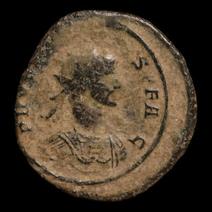 Rome, Emperor Probus, AR Antoninianus, Victory Reverse - 276 to 282 CE - Roman Empire