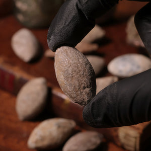 Ancient Lead Sling Bullet (Glandes Plumbeae) - c. 400 to 1 BCE - Ancient Europe