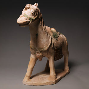 Ming Dynasty, Sancai Glazed Pottery, Horse Mingqi Figure - c. 1400s to 1600s CE - Imperial China