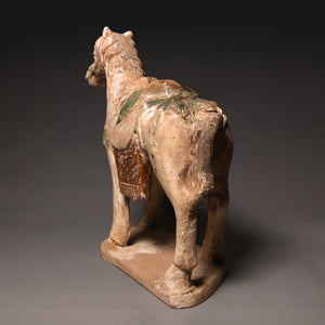 Ming Dynasty, Sancai Glazed Pottery, Horse Mingqi Figure - c. 1400s to 1600s CE - Imperial China