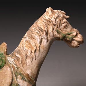 Ming Dynasty, Sancai Glazed Pottery, Horse Mingqi Figure - c. 1400s to 1600s CE - Imperial China