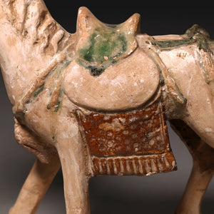 Ming Dynasty, Sancai Glazed Pottery, Horse Mingqi Figure - c. 1400s to 1600s CE - Imperial China
